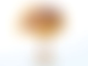 NSW Government Winds Back Protections At Sanctuary Zones In Batemans Marine Park: Greens