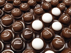 Evangeline Gearheart's Journal Entry #20