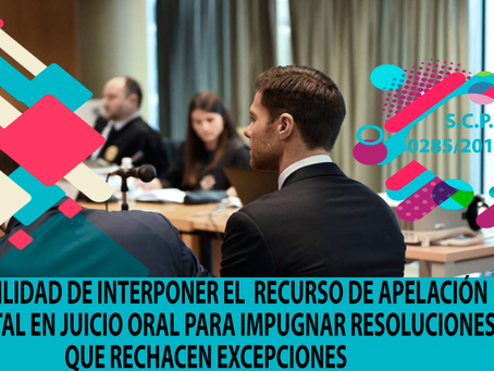 SENTENCIA CONSTITUCIONAL PLURINACIONAL 0285/2019-S4
    Sucre, 29 de mayo de 2019
