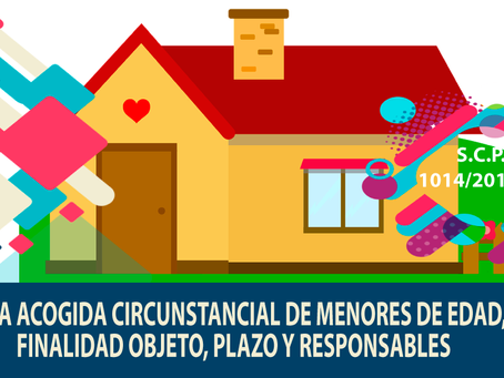 SENTENCIA CONSTITUCIONAL Plurinacional 1014/2017-s1
