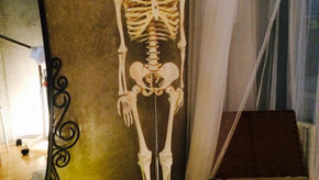 ニューフェイス＾＾