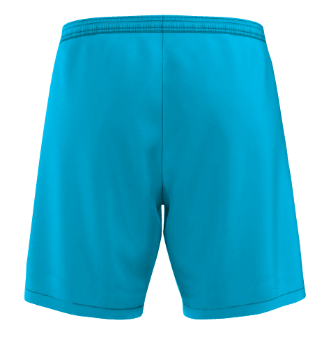 Thumbnail: CG TOROS/STORM GK Shorts (Home)