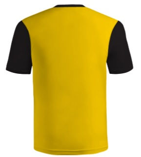 Thumbnail: JRS-ESA Player Training Jersey Gold-Black (Set of 2)
