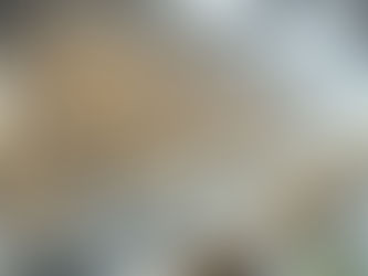 Seller Fulfilled Prime Guide for Amazon Sellers | Fulfilment UK