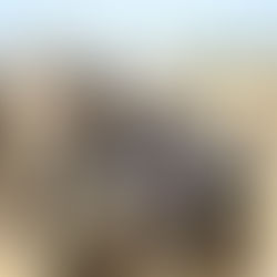 News Just In - Ugandan Troop in Somalia Not at ease