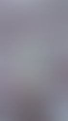 Meus batons asiáticos