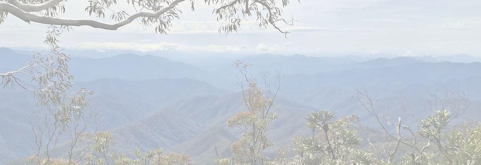 point lookout view_edited_edited.jpg