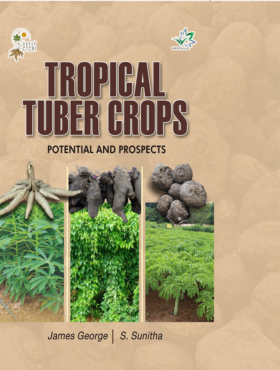 TROPICAL TUBER CROPS: POTENTIAL AND