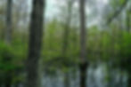 Flooded pond in Stoney Run Park in Hebron, In
