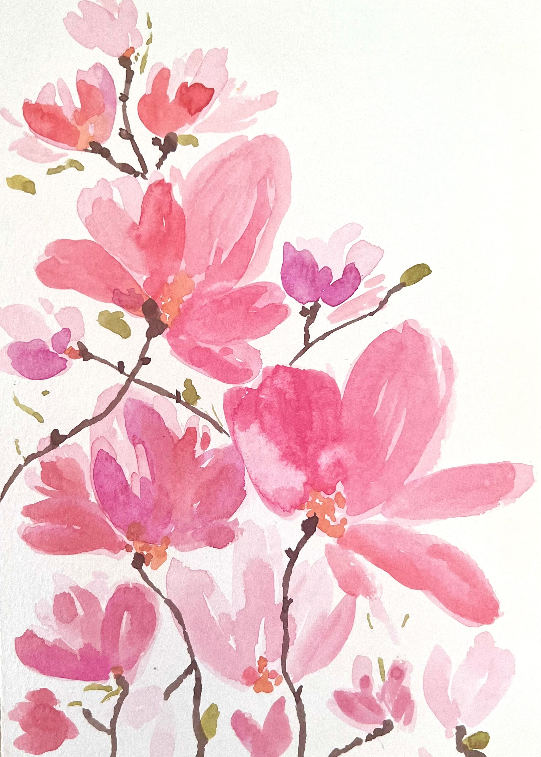 Magnolia Blooms