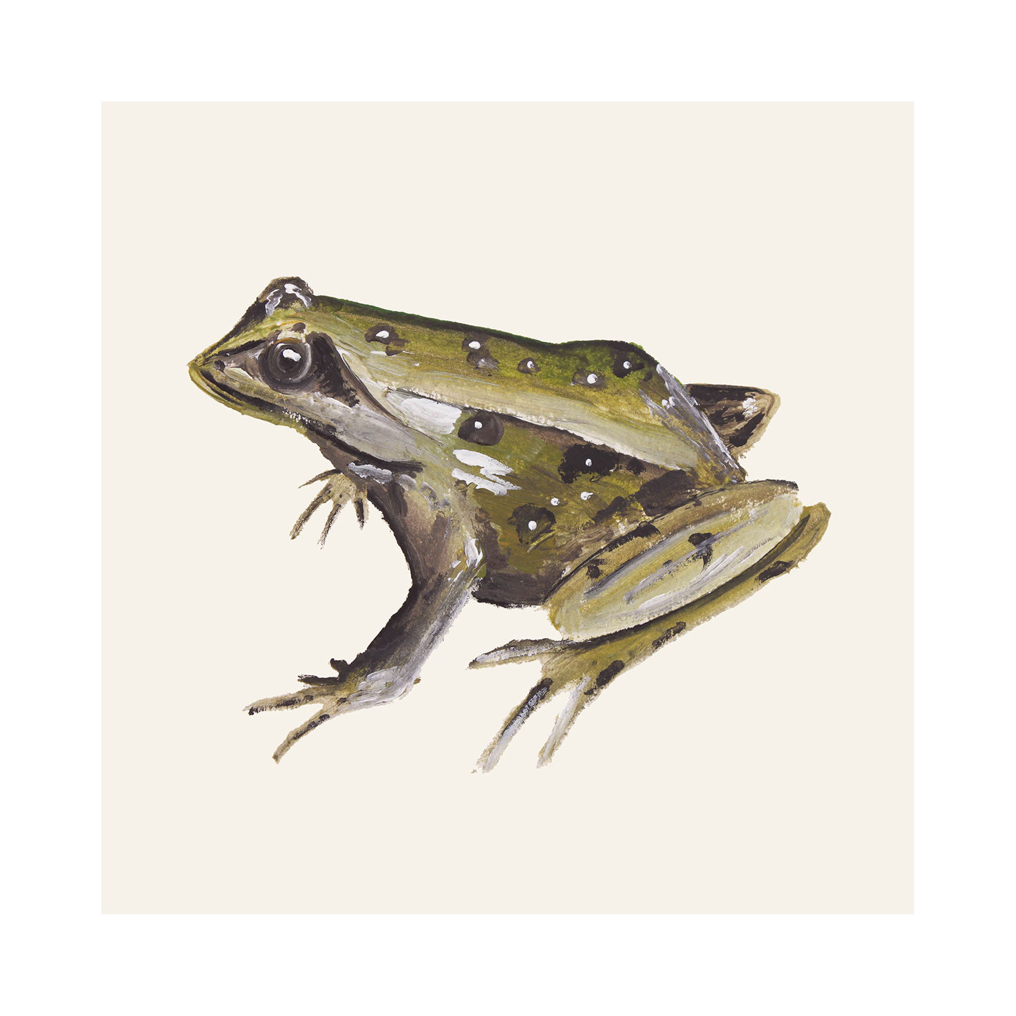 Frog fine art print