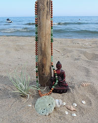 DSCN4139.jpg