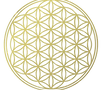 Fleur de vie vectoriel.png