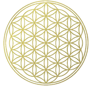 Fleur de vie vectoriel.png