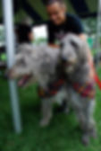 celtic_canines6