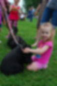celtic_canines4