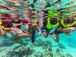 Aruba snorkeling trips