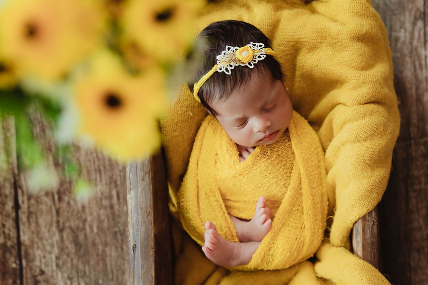 nora-package-10.jpg