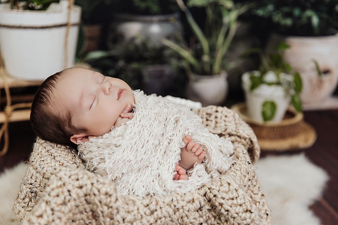 newbornr-gallery2026-1.jpg
