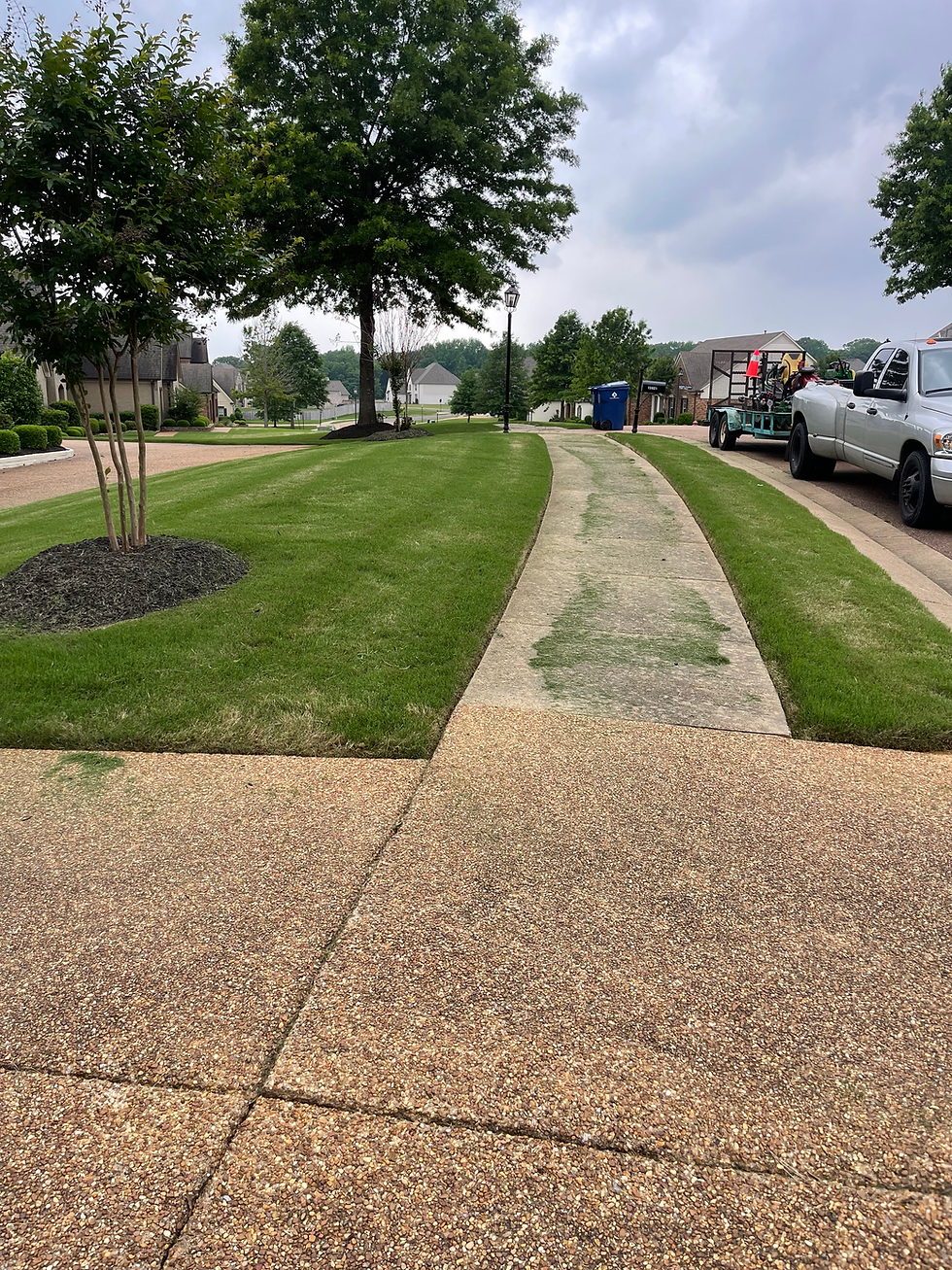 Lawn.heif
