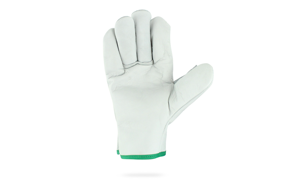 Miniatura: COMBINED SKIN AND LEATHER GLOVE "ProCasi" TYPE ALA THUMB