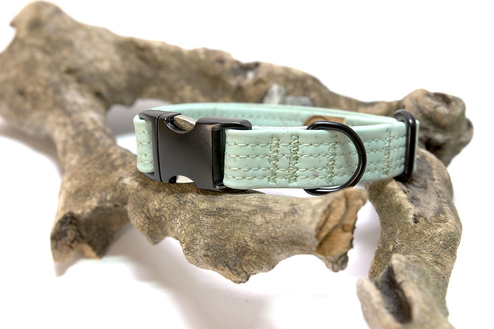 Mintfarbenes Kork-Hundehalsband mit Klickverschluss