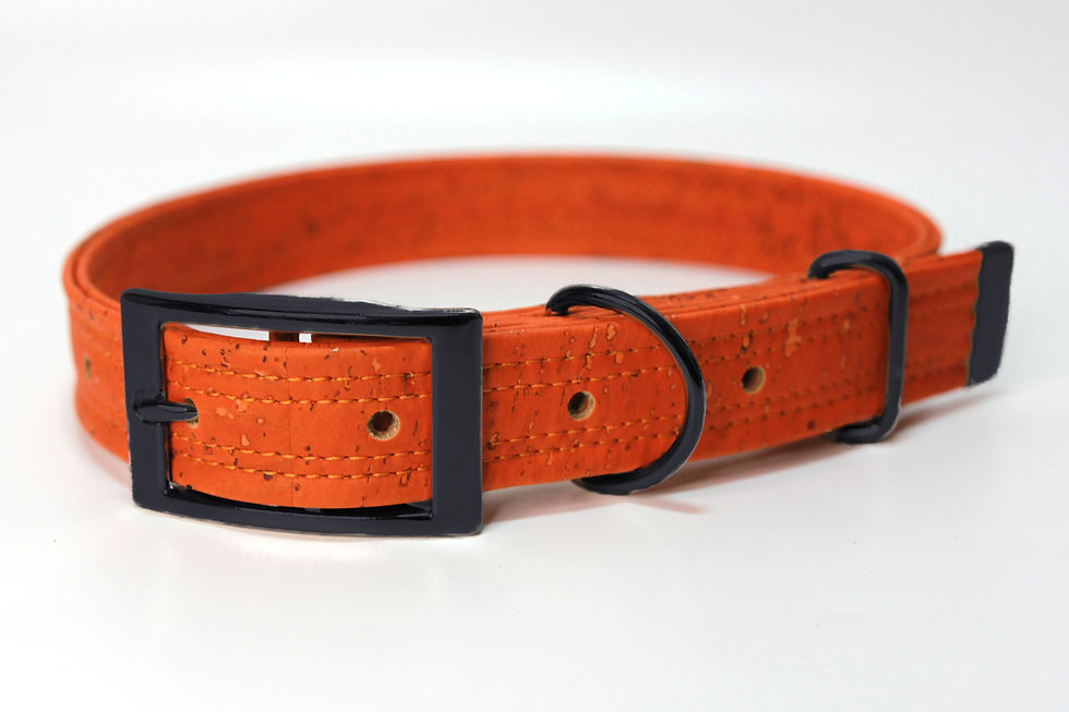 Orangefarbenes Hundehalsband aus Kork mit schwarzer Schnalle