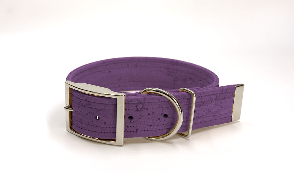 Lila Hundekragen aus Kork, vegan und nachhaltig von KoerbiUndCo