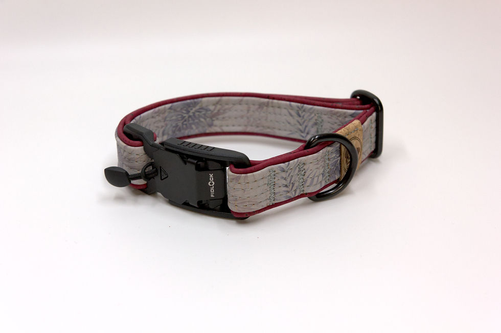 Hundeleine aus Kork, vegan & nachhaltig