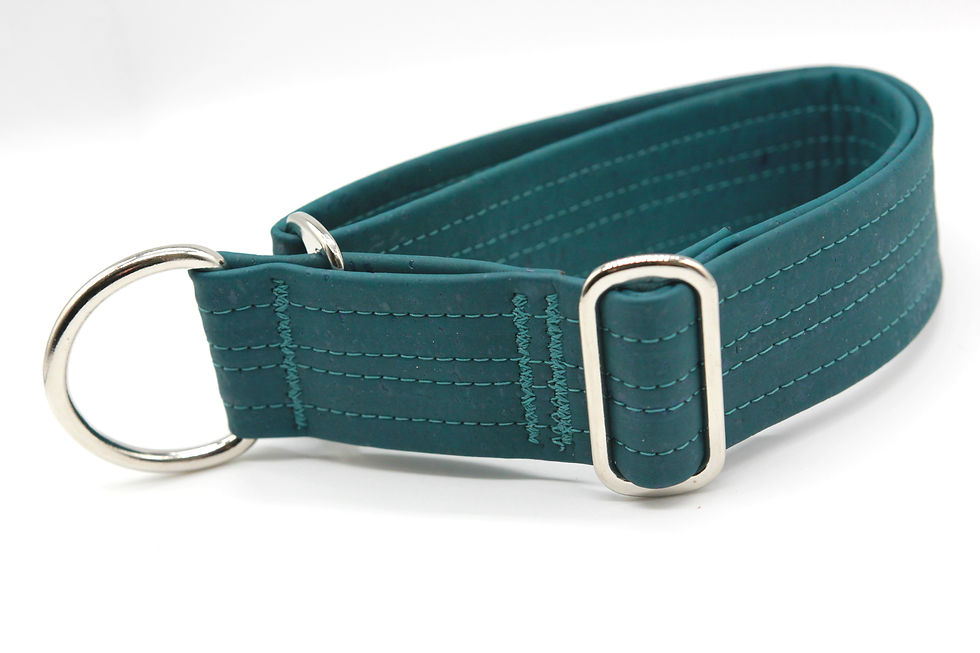 Tiefgrünes Kork-Hundehalsband mit Klickverschluss