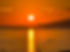 IMG_8958.jpeg