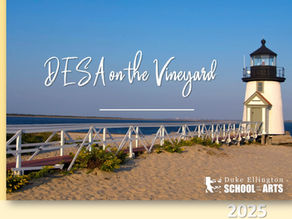 DESA on the Vineyard Sponsorship