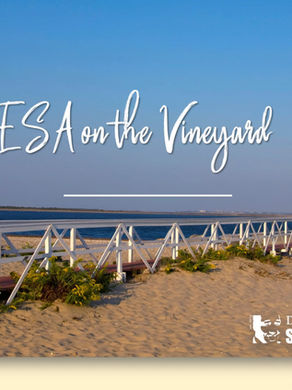 DESA on the Vineyard Sponsorship
