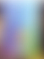 CAMP students won the prestigious 43rd Annual Parkmont Poetry Festival