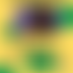 C.A.M.P. Young Artists Entrepreneur Workshop