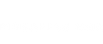 Pineapple Logo - HZ-White (1)_edited.png