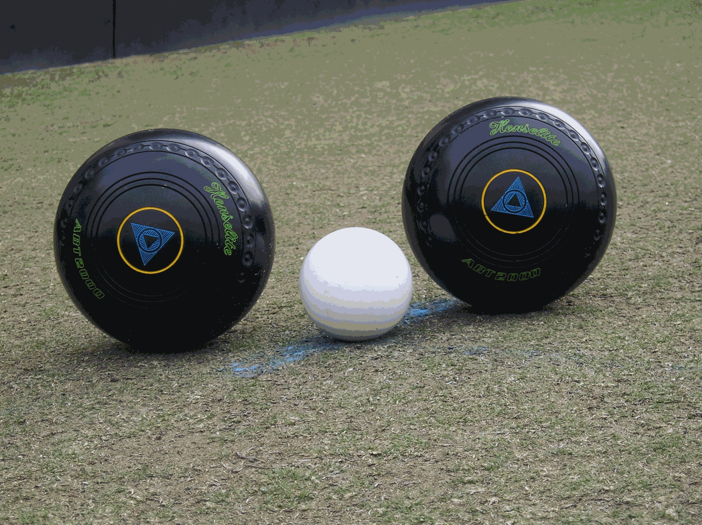 Image1.gif