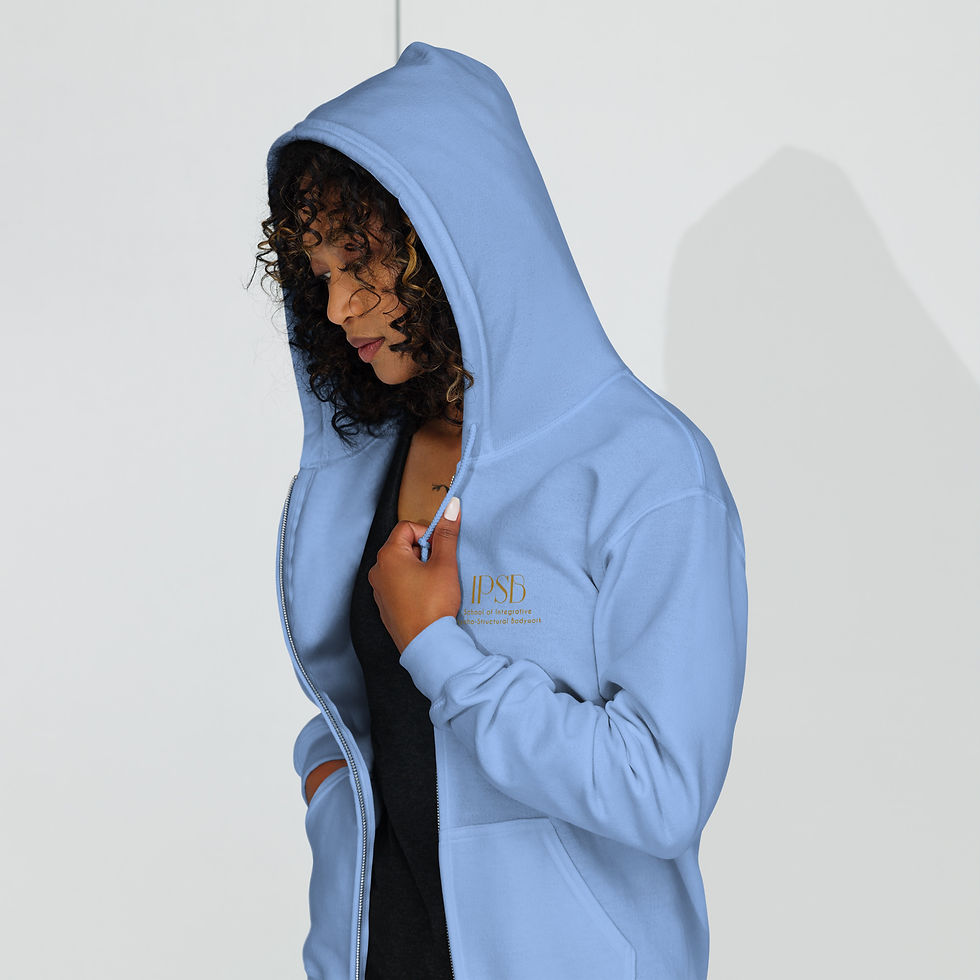 Thumbnail: IPSB Color Logo Unisex Heavy Blend Zip Hoodie