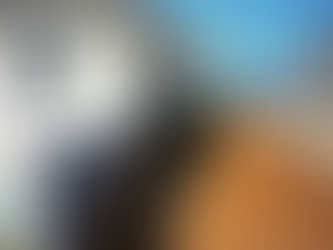 Home Foundation Repair near Bloomington, MN