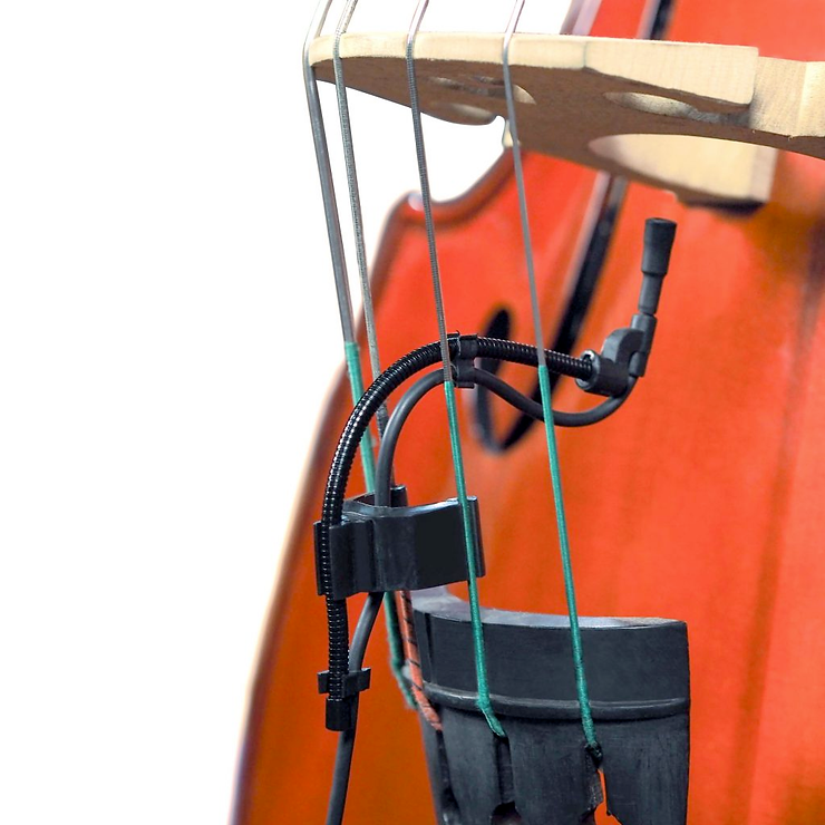 SBS01 Accessory Set fot contrabass