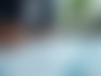 Using structured analysis to organize information