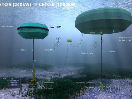 Carnegie Wave Power 