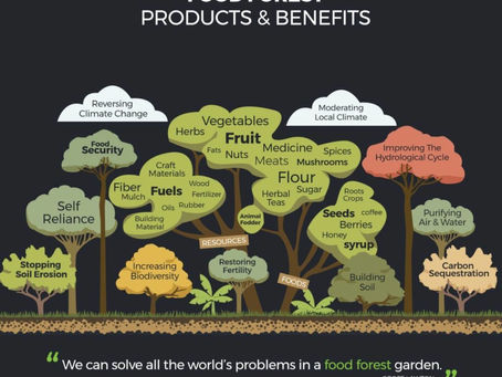 Food Forest Unification 