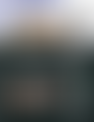 Dharma's Council Newsletter, April 13th, 2024