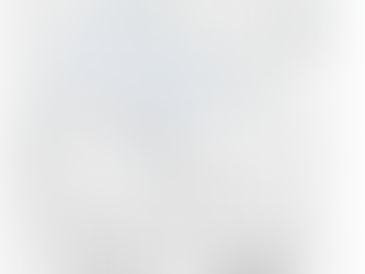 Dharma's Council Newsletter, December 14, 2025