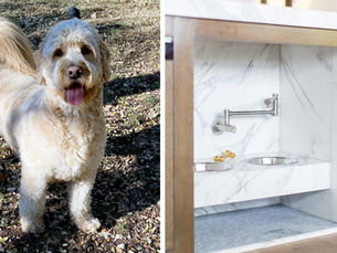 Home Designs with Mac - 5 of His Favorite Dog-Friendly Features