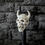 Thumbnail: Demon Skeleton Skull