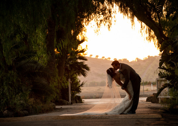 C & T Wedding-443.jpg