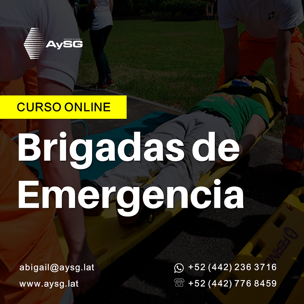 Curso Online Brigadas de Emergencia