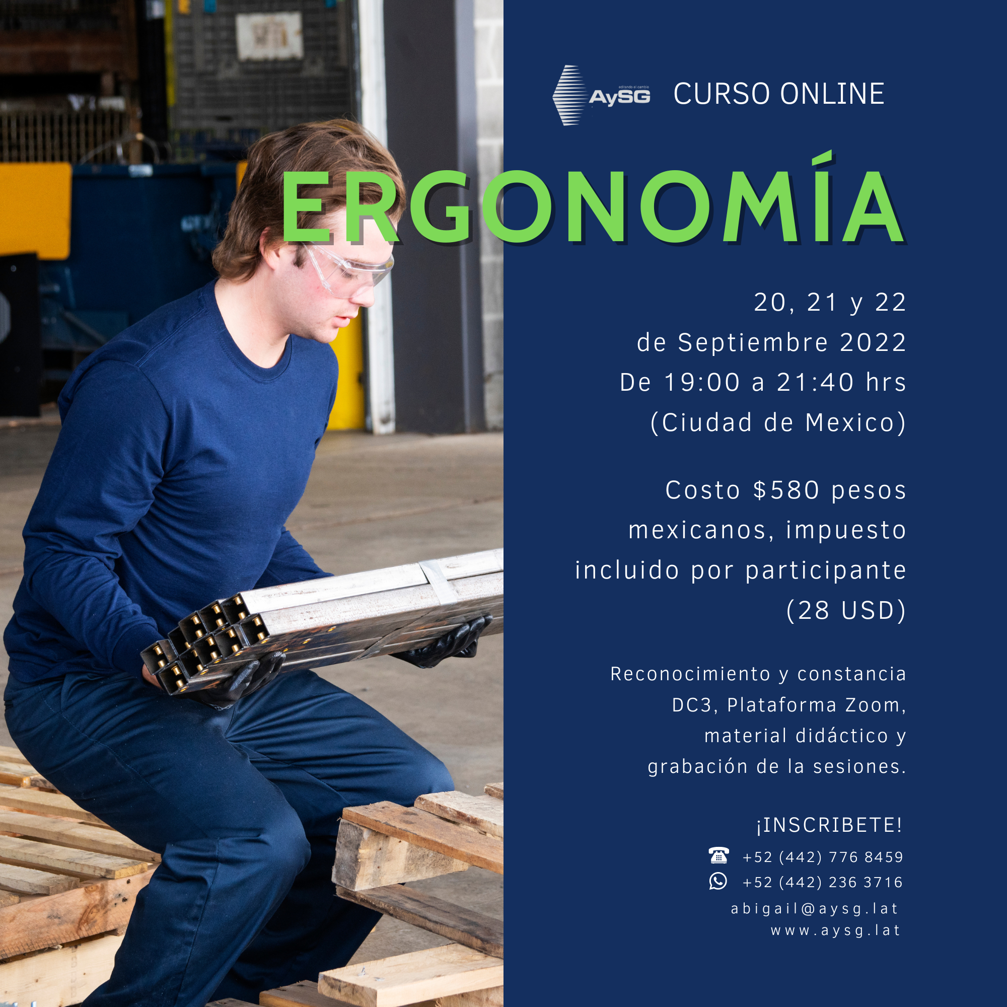 Curso Online Ergonomía